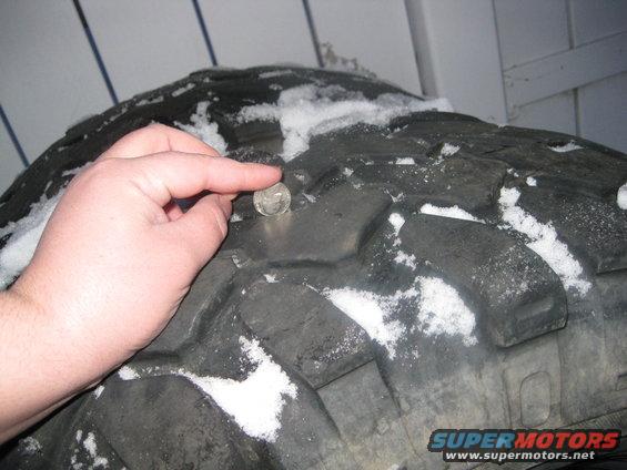swampers-004.jpg 