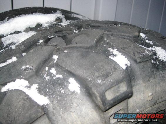 swampers-006.jpg 