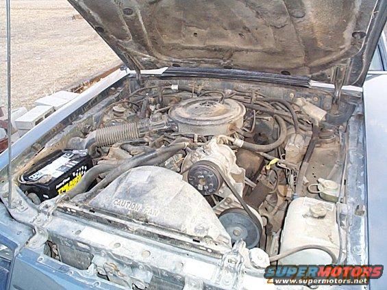 1986-mustang-011.jpg