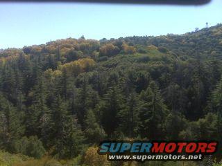 img00069.jpg