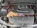 1972 Ford Ranchero - Deer3
