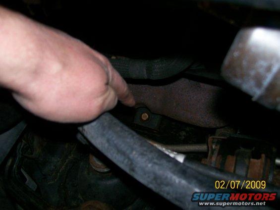 100_2415.jpg 