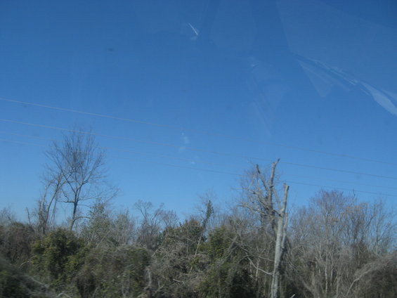img_9404.jpg 