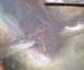 1991 Ford Bronco - Header Crack.