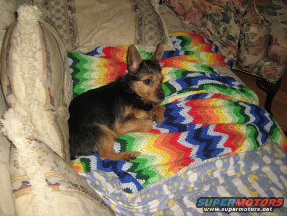 img_0226.jpg 2-14-09