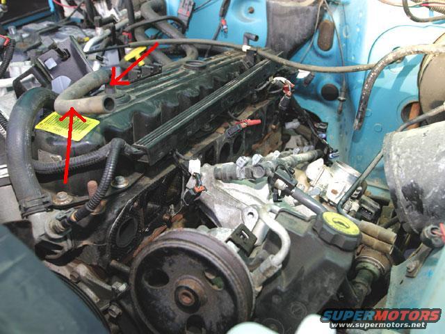 129_0401_06z+jeep_tj+engine_bay.jpg 