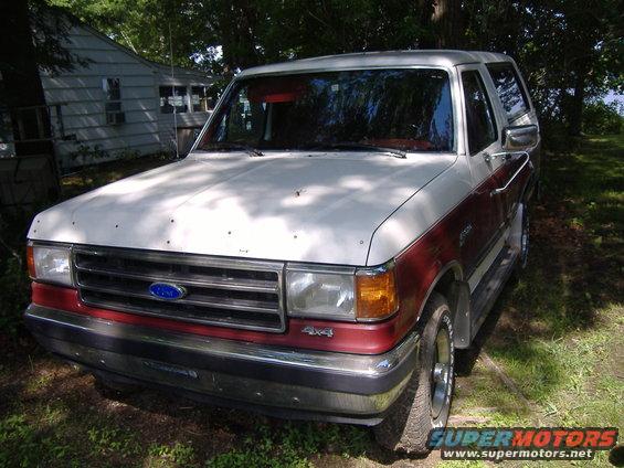 when i first got her...she'd been sittin under a tree for a year