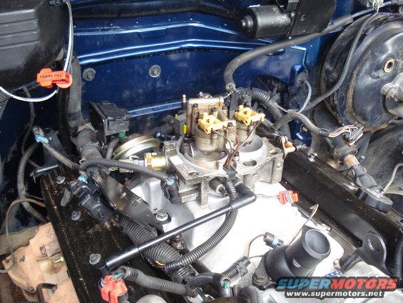 Engine bay showing carburetor, intake manifold, and wiring harnesses. Orange 'TRANS FILL' cap visible