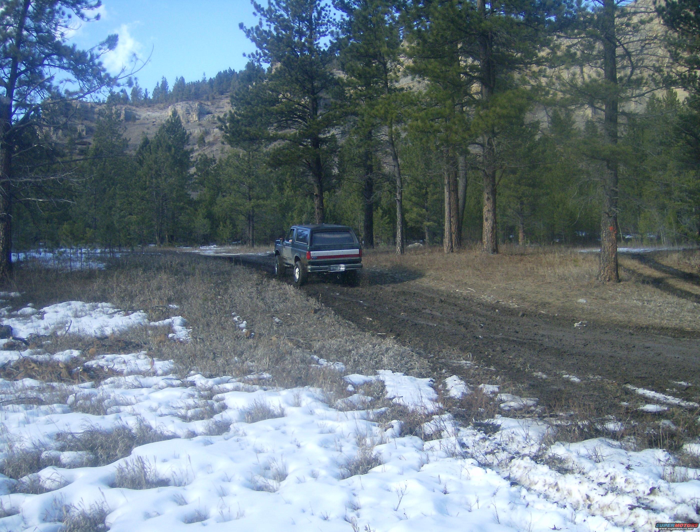 1990 Ford Bronco photo