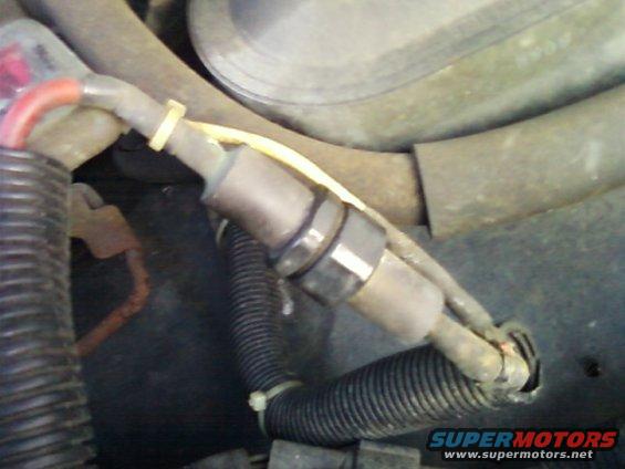 Oxygen sensor with wiring harness and protective tubing