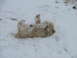 2001 Ford Fiesta - A fluffy dog enjoys a snowy day by rolling around in the fresh powder.