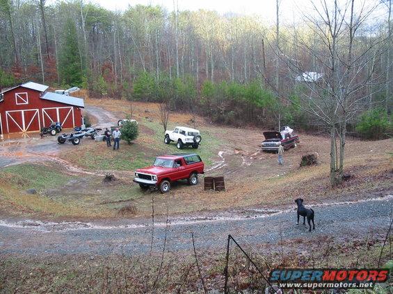 img_0844.jpg BIG RED WILL RESCUE