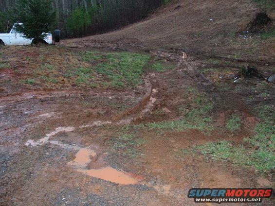 img_0907.jpg MY YARD...... DAMINET MAN