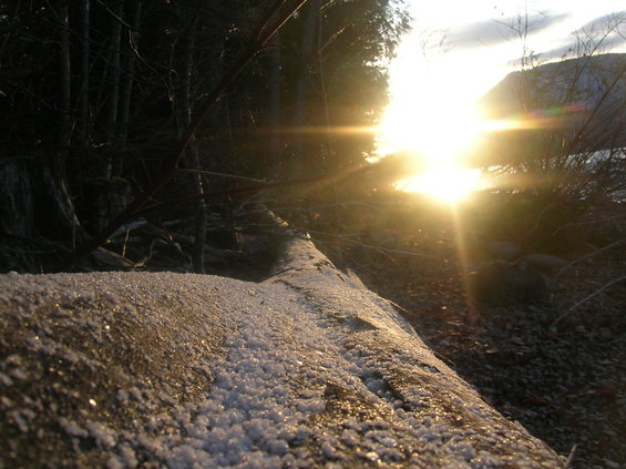 dscn2879.jpg