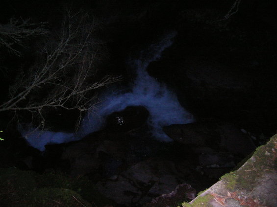 dscn2880.jpg