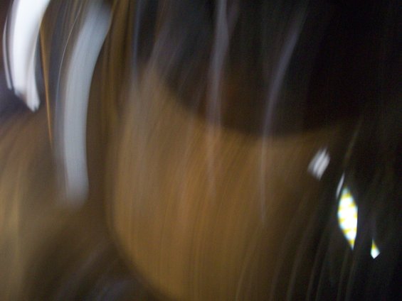 100_1350.jpg
