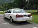 1998 Ford Crown Victoria - Another of the Monkey
