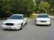 1998 Ford Crown Victoria - The monkey and the vic