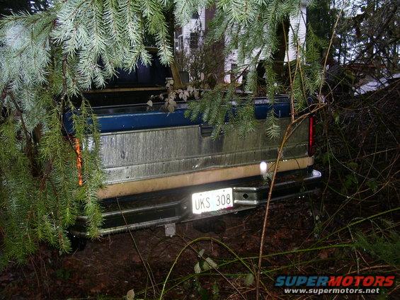 Rear of a blue and tan Ford pickup truck, partially obscured by pine branches. License plate reads UKS 308