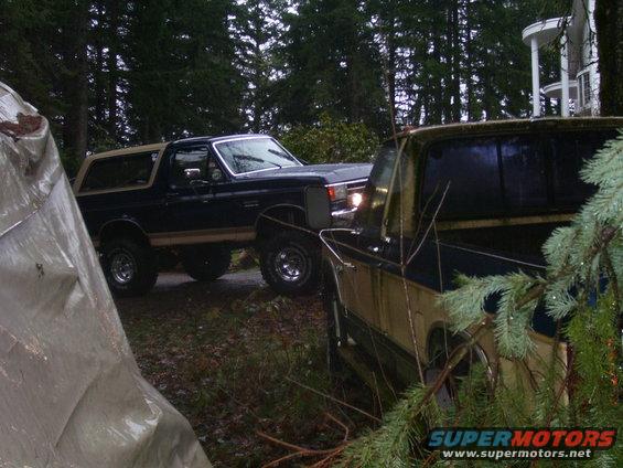 Dark blue and tan 1991 Ford Bronco parked on a dirt road, partially obscured by a tarp and pine branches