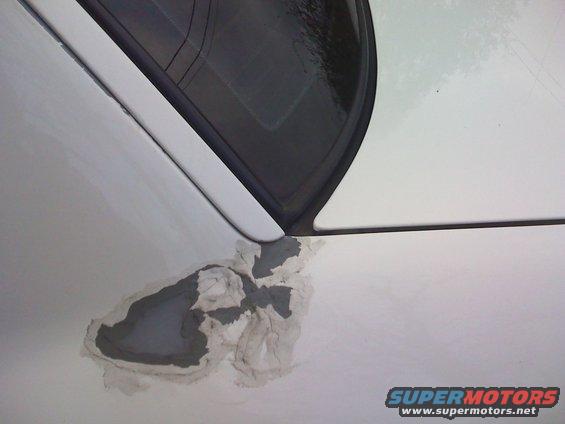 4.jpg Ford's BS Paint is peeling right in the "flex" zone. The brown stuff you see around the "wound" is clear silicone type stuff I put on to keep the water from getting under the paint. It has help to slow the peeling. All this peeling has happend in the pass 9 months.