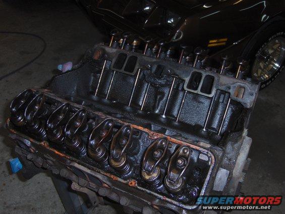 79_trans_am_076.jpg