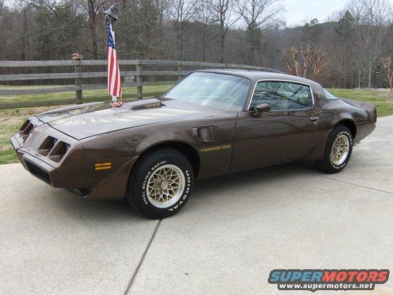 79_trans_am_056.jpg 