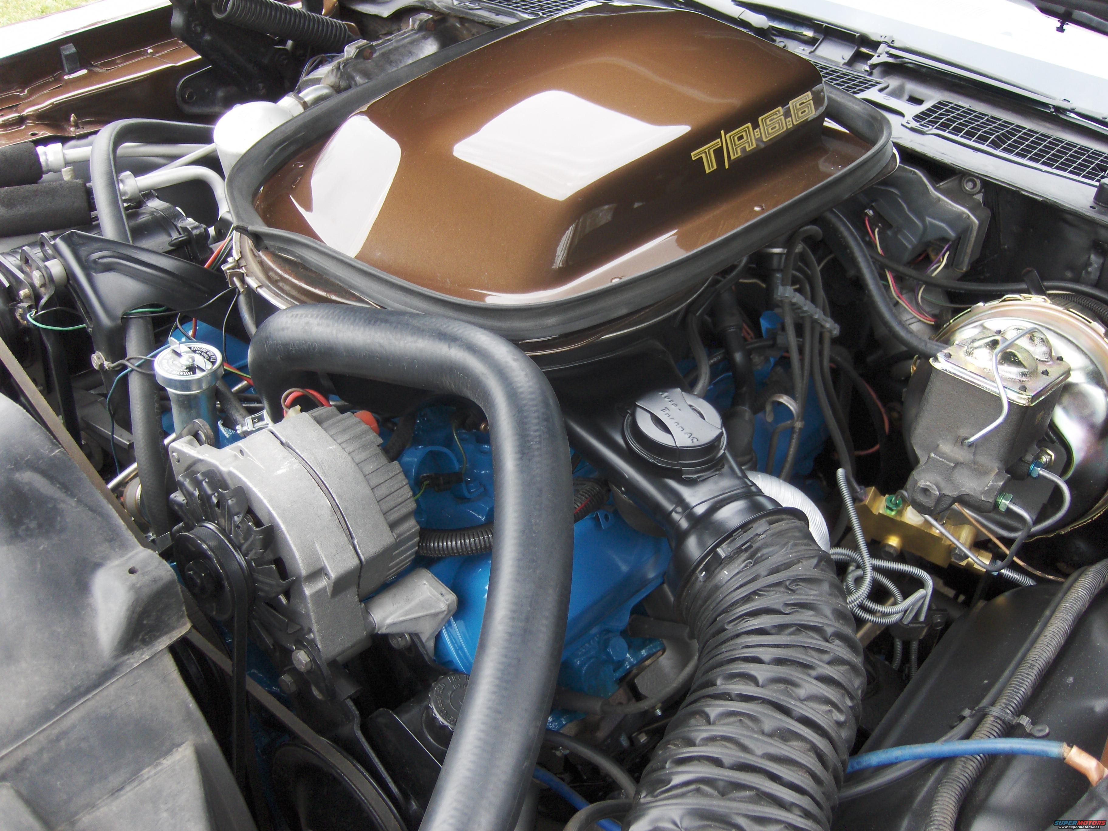 1978 Chevrolet Camaro photo