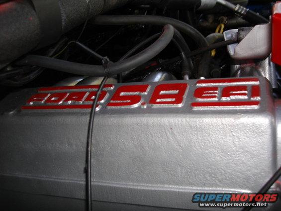 Custom Painted and Pinstriped Engine Accents