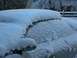100_0384.jpg