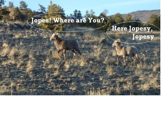 here-jopesy.jpg