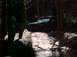 1993 Ford Bronco - A dark SUV navigates a challenging, wet, and muddy off-road path surrounded by trees.