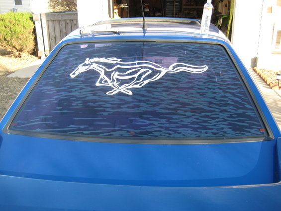 Before sticker and tint removal