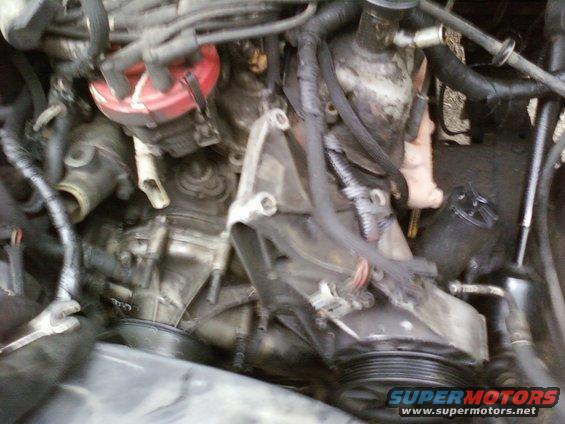 Engine compartment with hoses, wires, and a red distributor cap