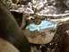 1991 Ford Bronco - blown oil gasket...yay!