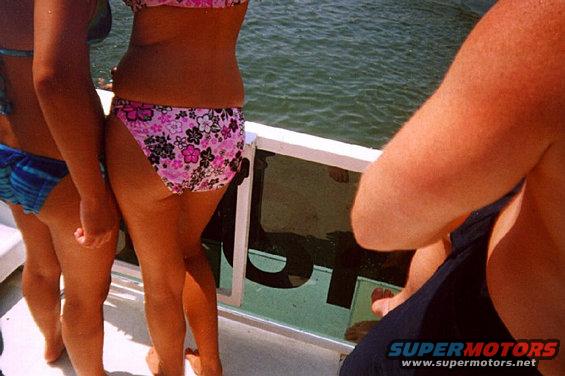 ass.jpg 