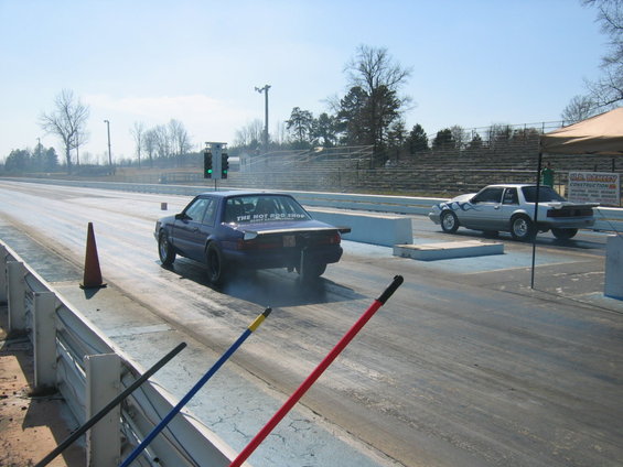 img_2522.jpg ringo & wayne-o