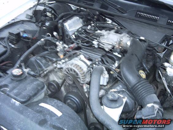 1998 Ford Crown Victoria engine bay with V8 engine and air intake