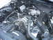 1998 Ford Crown Victoria - The engine bay of a 1998 Ford Crown Victoria, its V8 engine and associated components.