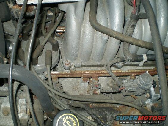 Engine bay close-up showing distributor cap and spark plug wires
