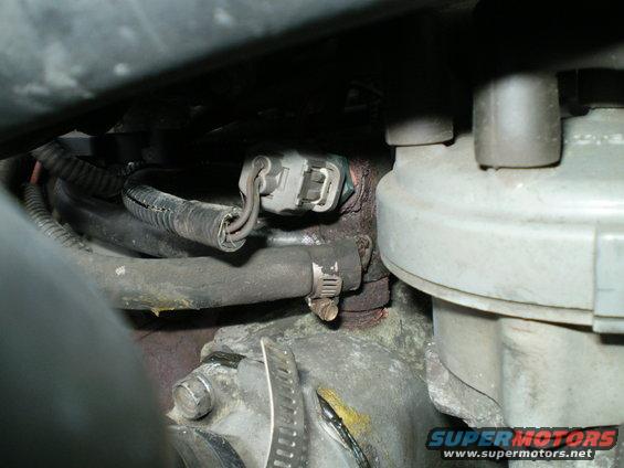 Engine components with hoses and electrical connectors, showing some corrosion and wear