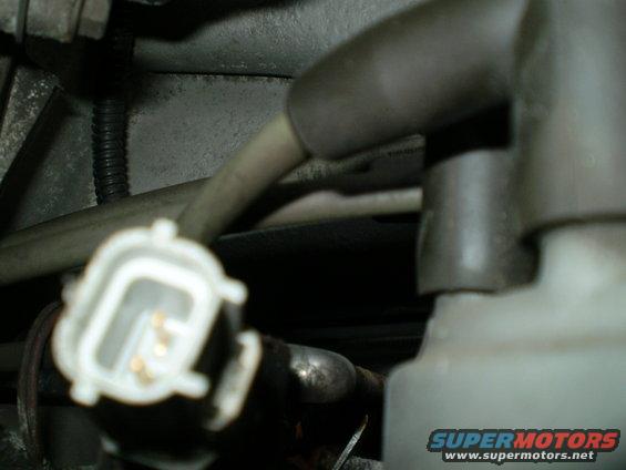 close-up of a white electrical connector with gold pins in a vehicle's engine bay