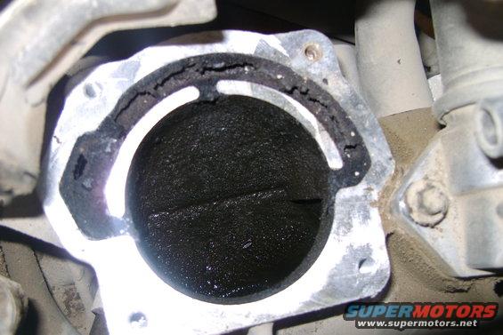 egr-(12).jpg 