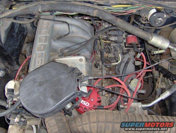 new to me efi 5.8, had about 180k on it.