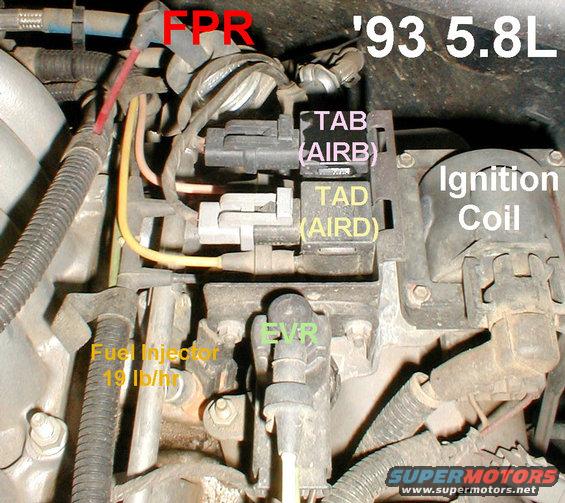 5.8l-left.jpg V8 Vacuum lines (same as 5.0L)

[url=https://www.supermotors.net/vehicles/registry/media/894687][img]https://www.supermotors.net/getfile/894687/thumbnail/vaclinesefi.jpg[/img][/url] . [url=https://www.supermotors.net/registry/media/624513][img]https://www.supermotors.net/getfile/624513/thumbnail/58lexploded.jpg[/img][/url] . [url=https://www.supermotors.net/registry/media/252396][img]https://www.supermotors.net/getfile/252396/thumbnail/secondaryair50l.jpg[/img][/url] . [url=https://www.supermotors.net/registry/media/252398][img]https://www.supermotors.net/getfile/252398/thumbnail/secondaryair58l.jpg[/img][/url] . [url=https://www.supermotors.net/registry/media/1167873][img]https://www.supermotors.net/getfile/1167873/thumbnail/secondaryairvalves.jpg[/img][/url] . [url=https://www.supermotors.net/vehicles/registry/media/589993][img]https://www.supermotors.net/getfile/589993/thumbnail/secondaryair.jpg[/img][/url] . [url=https://www.supermotors.net/vehicles/registry/media/317749][img]https://www.supermotors.net/getfile/317749/thumbnail/xtubenew.jpg[/img][/url]

A common problem is for the FPR diaphragm to fail, allowing hi-pressure fuel to leak into the red vacuum line, which dumps straight into the intake plenum.  This can flood the engine, and if allowed to continue, it can wash the rings out & damage the bearings.
[url=https://www.supermotors.net/registry/media/283795][img]https://www.supermotors.net/getfile/283795/thumbnail/fpr.jpg[/img][/url] . [url=https://www.supermotors.net/registry/media/860381][img]https://www.supermotors.net/getfile/860381/thumbnail/pcvnfpr.jpg[/img][/url]
Some are harder to change than others due to the tiny fasteners facing down.

To find the vacuum map (VECI label) specific to your engine, read this caption:
[url=https://www.supermotors.net/registry/media/72426][img]https://www.supermotors.net/getfile/72426/thumbnail/vacuum-93-5.8l.jpg[/img][/url]

The most common problem with the TAB & TAD is for the 'coffee can' vacuum reservoir on the R wheelwell to rust/crack, venting the vacuum required to operate the TAB & TAD air valves.  The best fix is to replace the coffee can with the later plastic reservoir, using a hair dryer to bend the lines to fit.
[url=https://www.supermotors.net/registry/media/545664][img]https://www.supermotors.net/getfile/545664/thumbnail/vacres9497.jpg[/img][/url]

The most common problem with the EVR is for its vacuum line to crack.  Simply slip rubber vacuum line over the break.

Static Resistance Values:
TAB/TAD: 50-100 ohms
EVR: 30-70 ohms
Injector: 11-18 ohms
Coil: 0.3-1.0 ohms between primary terminals
Coil: 8-11.5 Kohms between output & either primary
Coil: >12Kohms beteen any terminal & E-core

Injectors:
[url=https://www.supermotors.net/registry/media/258009][img]https://www.supermotors.net/getfile/258009/thumbnail/fuel-injector-specs.jpg[/img][/url] . [url=https://www.supermotors.net/registry/media/265821][img]https://www.supermotors.net/getfile/265821/thumbnail/fuelinjectorscutaway.jpg[/img][/url]

For more info, read this article about [url=http://www.fourdoorbronco.com/board/showthread.php?t=5427]Emissions Systems[/url].