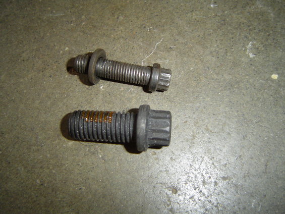 Two bolts with Torx heads on a concrete surface