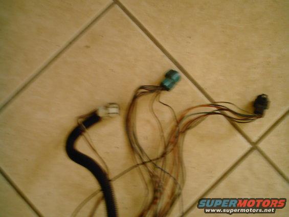 picture-463.jpg 