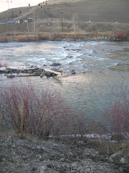 dscn2939.jpg