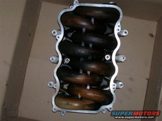 dscn3119.jpg Lower intake, top