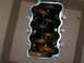 1998 Ford Mustang - Lower intake, top